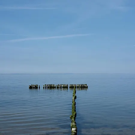 B12 Balkon Mit Naturblick & Nutzung Der Wellness- & Aktivbereiche Im Pine Hill 아파트 Zirchow