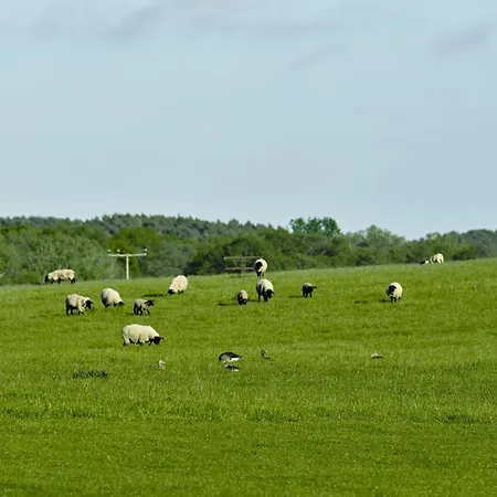 דירה B12 Balkon Mit Naturblick & Nutzung Der Wellness- & Aktivbereiche Im Pine Hill *