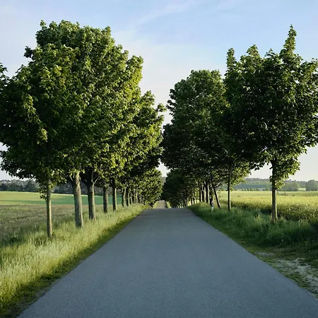 B12 Balkon Mit Naturblick & Nutzung Der Wellness- & Aktivbereiche Im Pine Hill Apartamento *