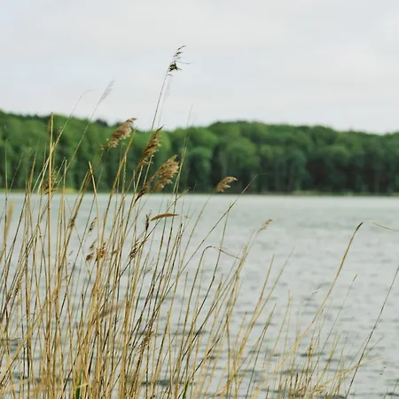 B12 Balkon Mit Naturblick & Nutzung Der Wellness- & Aktivbereiche Im Pine Hill *