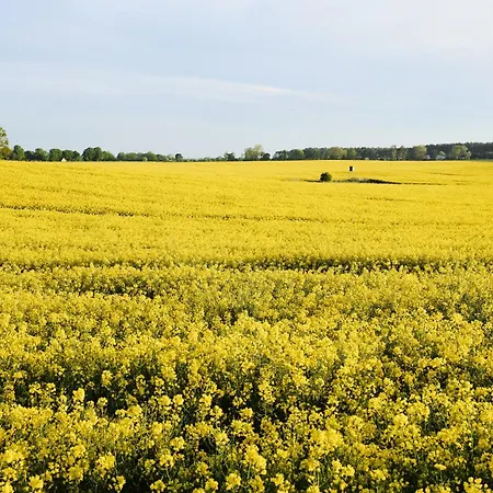 Apartamento B12 Balkon Mit Naturblick & Nutzung Der Wellness- & Aktivbereiche Im Pine Hill